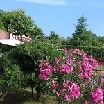 House Ariamare *