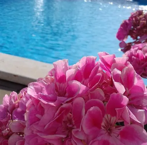 Appartamento House Ariamare *