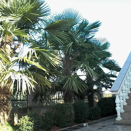 Apartman House Ariamare *